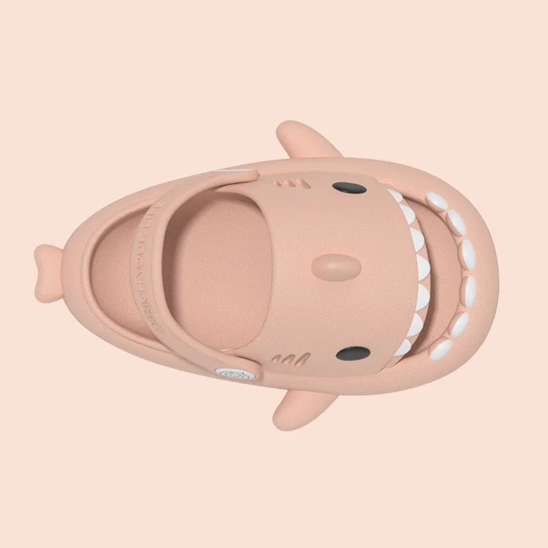 Les bébé requins