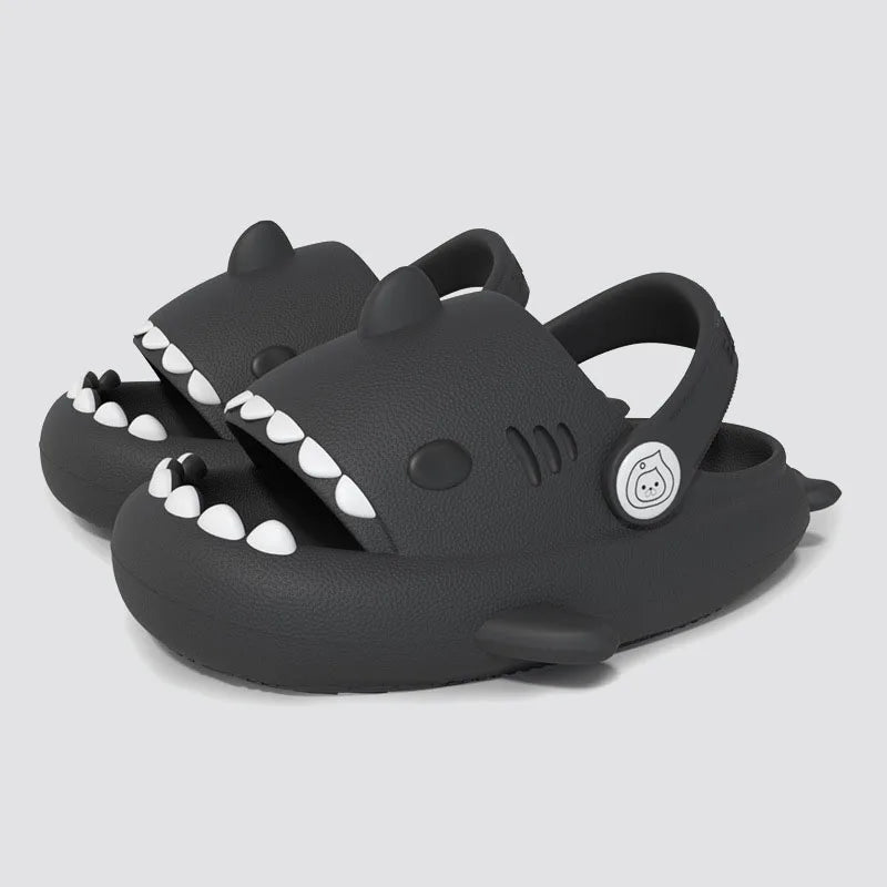 Les bébé requins